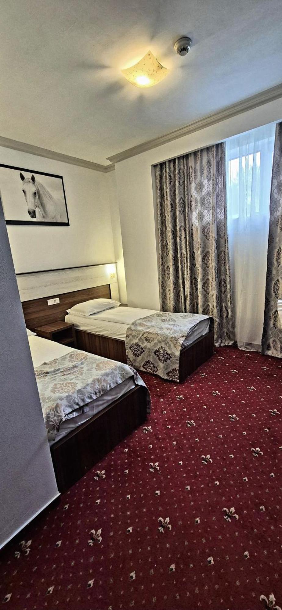 Hostel Orhideea ブザウ エクステリア 写真